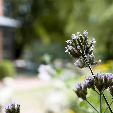 Restaurant Piaerdestall Hövelhof