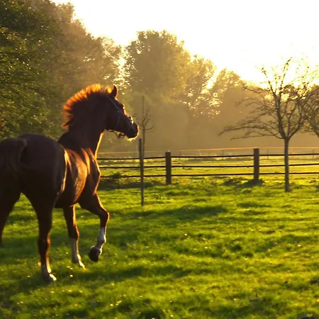 Restaurant Piaerdestall Kro 3*