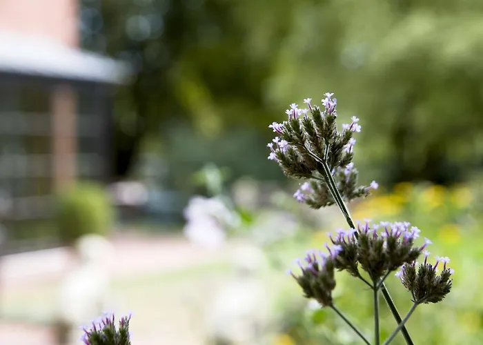 Restaurant Piaerdestall Hövelhof
