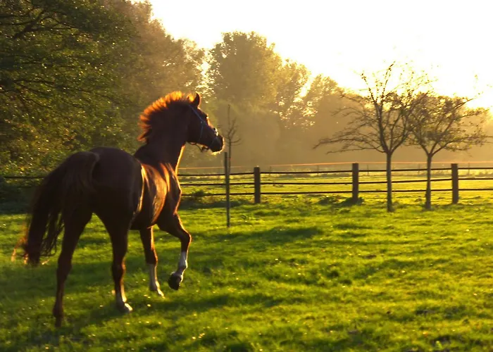 Restaurant Piaerdestall Kro 3*