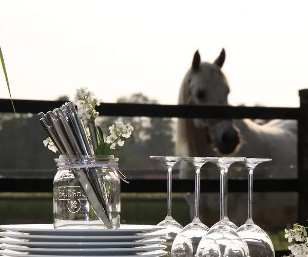 Restaurant Piaerdestall